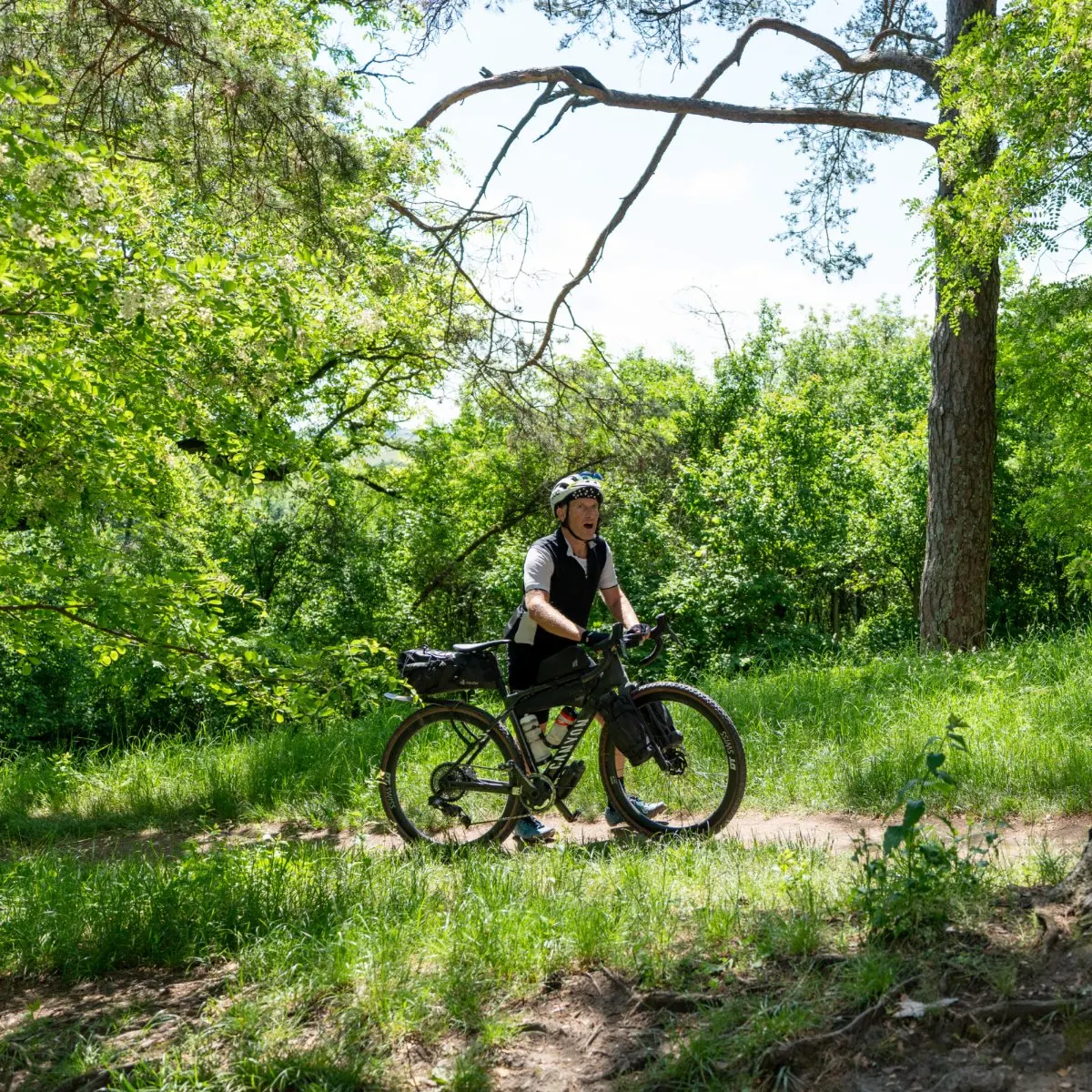 Singletrack on the Transylvania Trail route