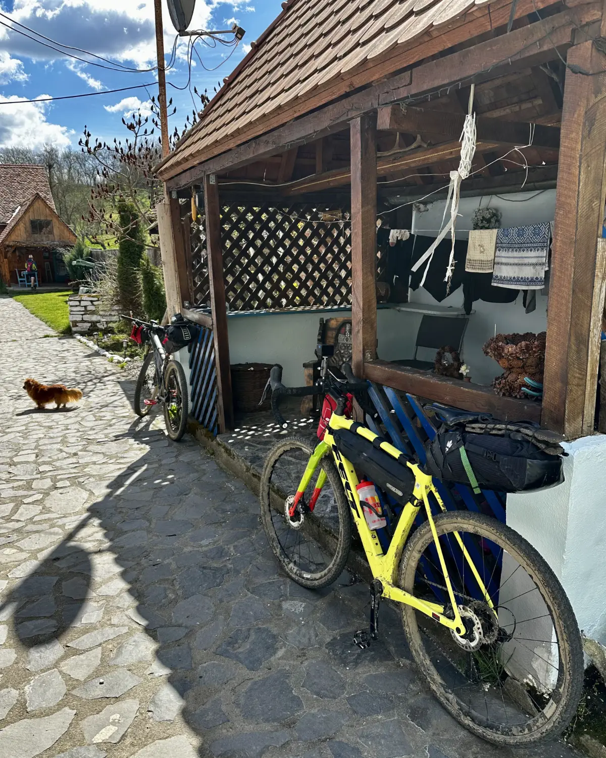 Two loaded gravel bikes leaning against a wooden porch in a village, a small dog on the cobbled lane beside them.