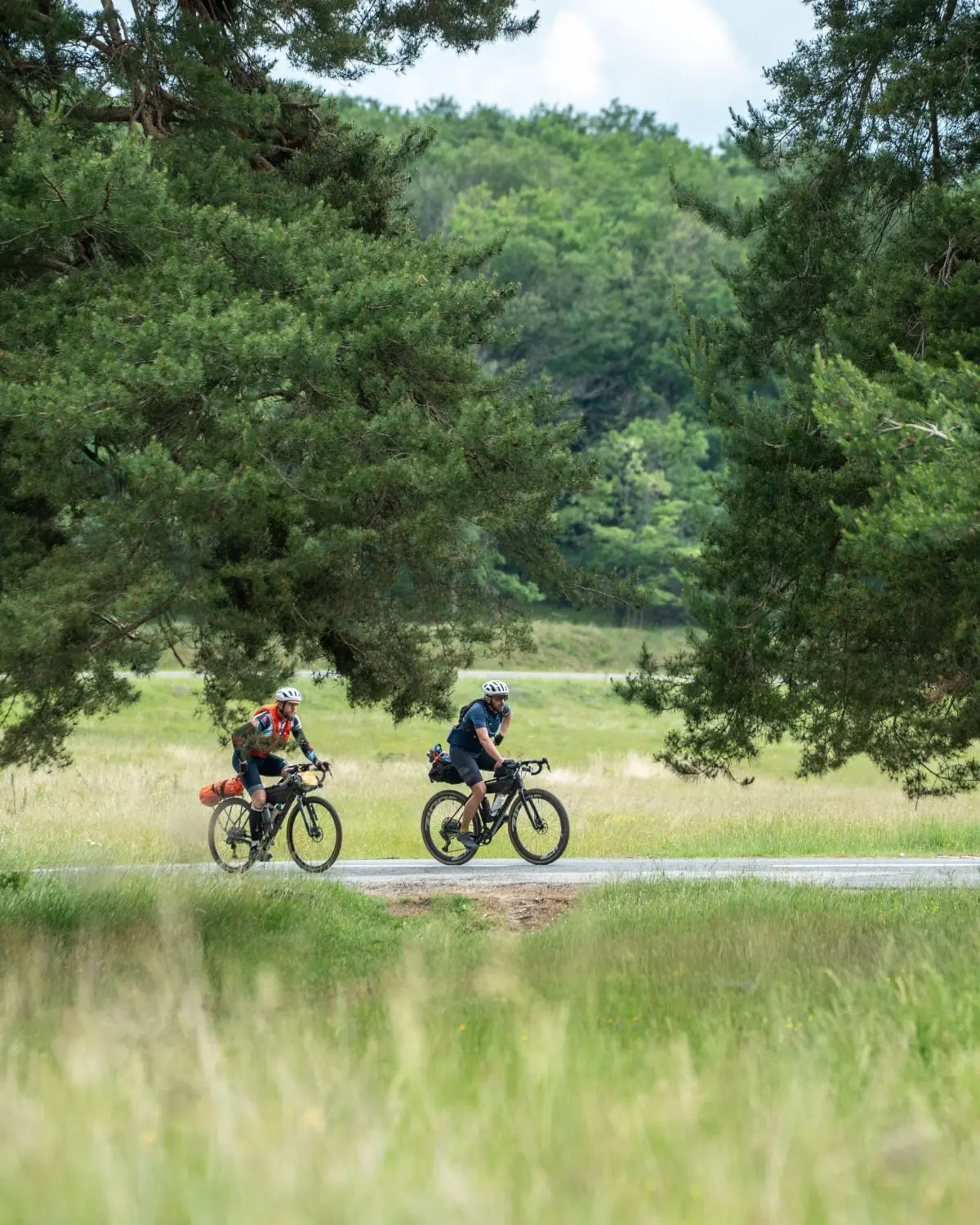 Two bikepackers riding through a meadow framed by old pines and forest.