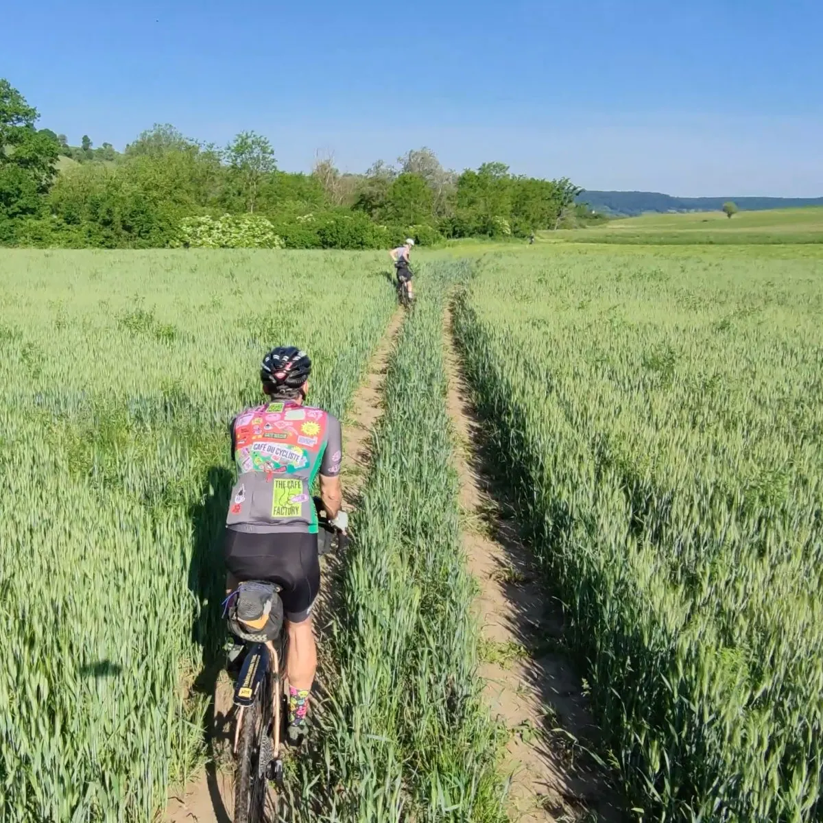Dirt doubletrack on the Transylvania Trail route