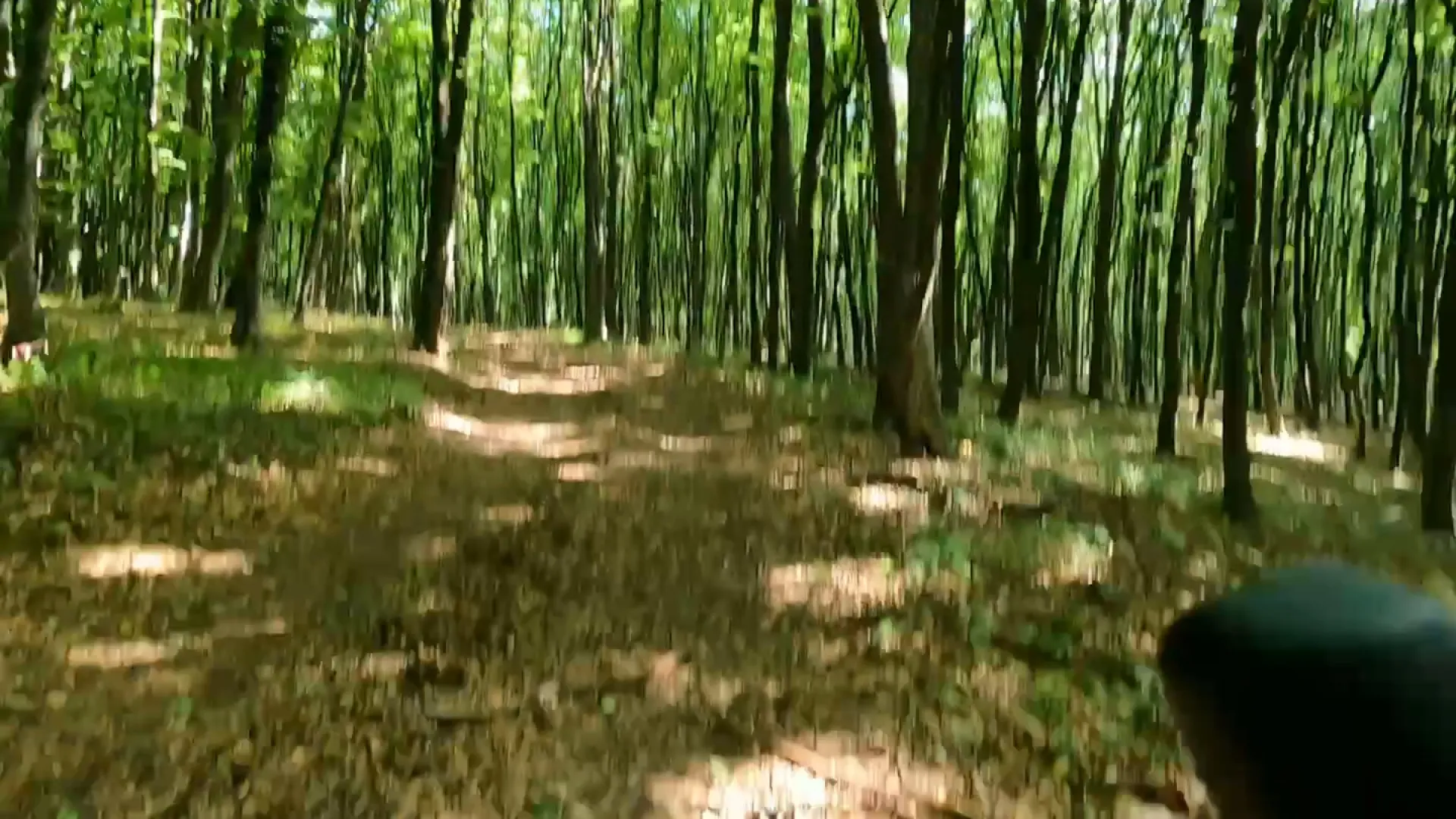 A rider’s view of a forest track over the handlebar, first Transylvania Trail, June 2026.