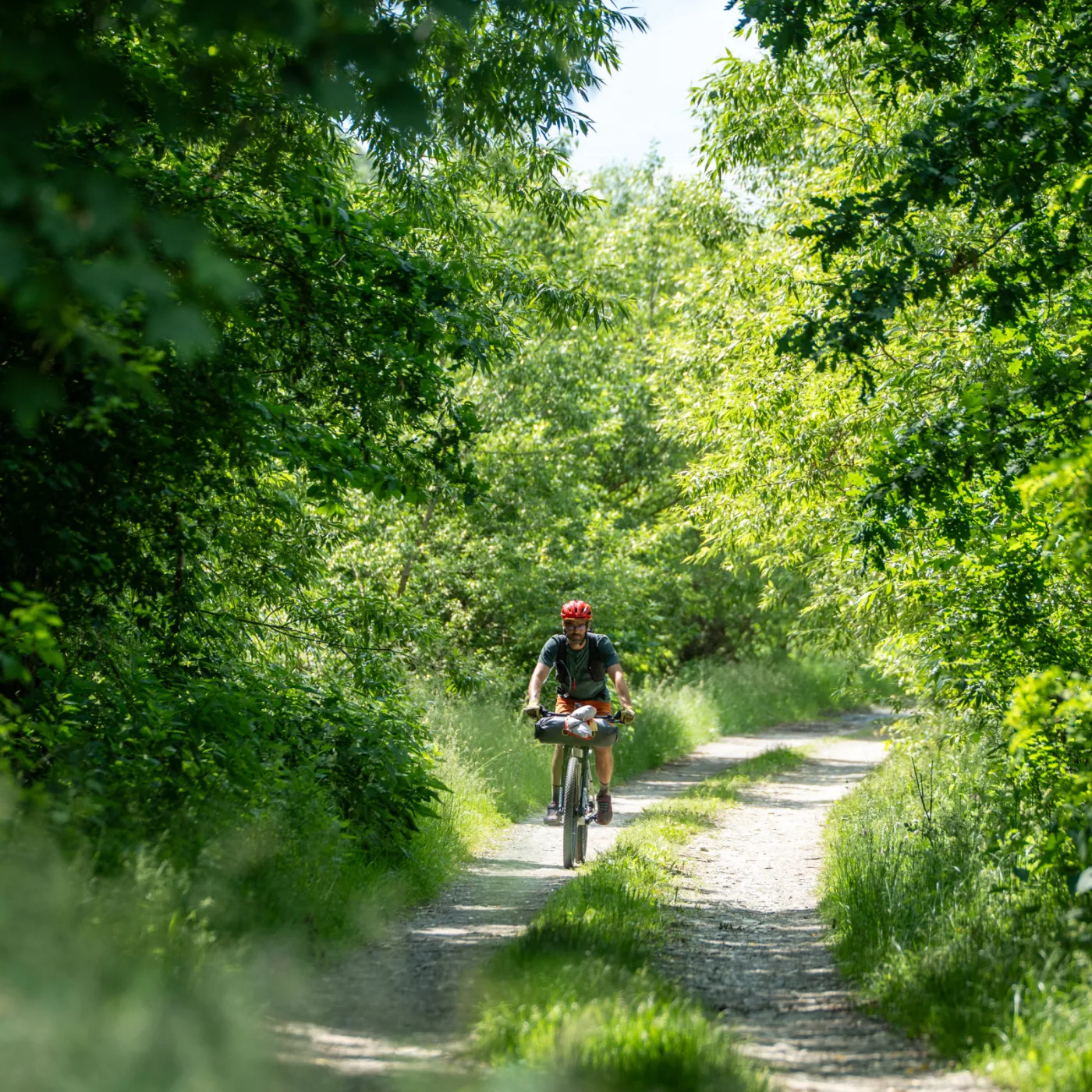 A bikepacker riding a gravel doubletrack through a tunnel of green forest