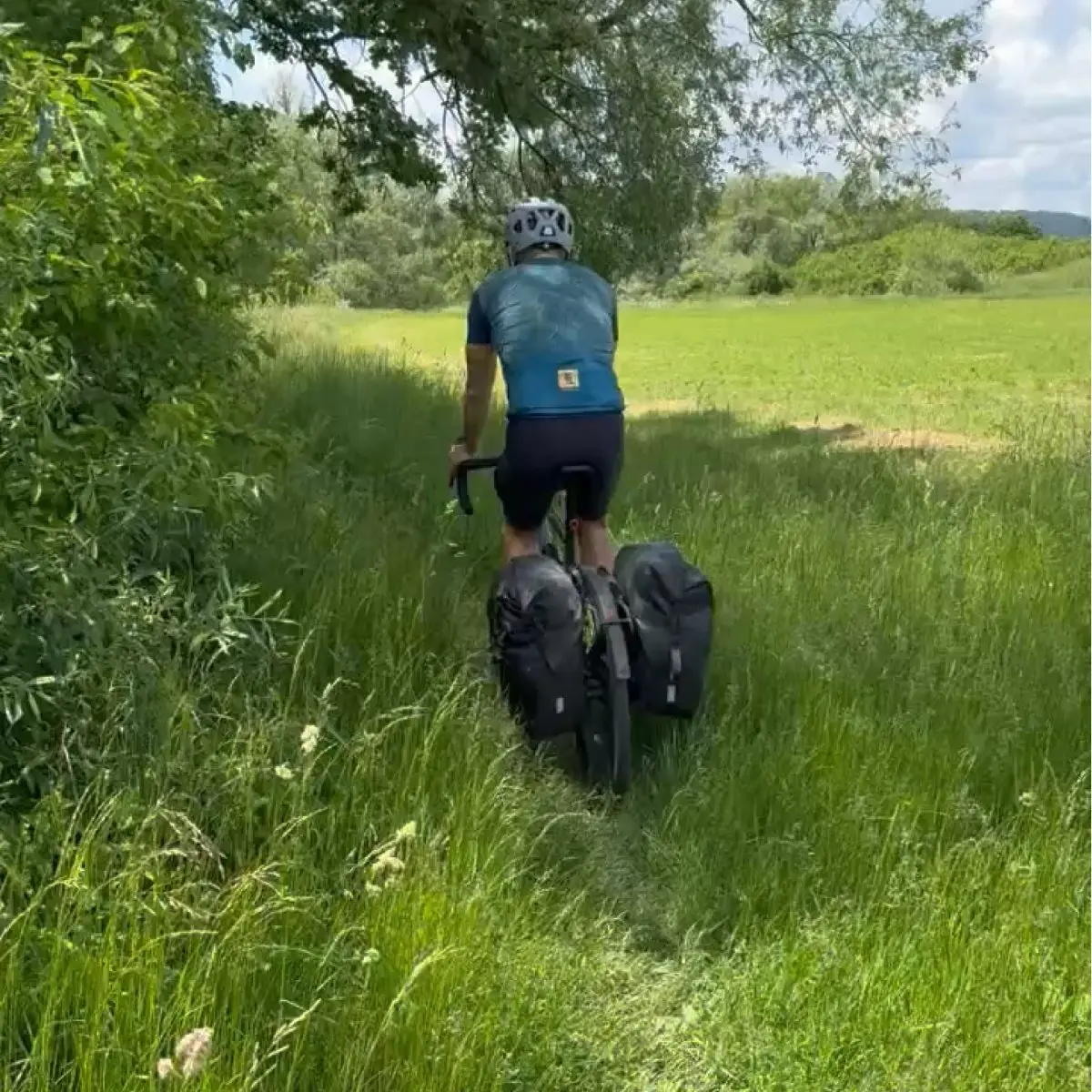 Overgrown path on the Transylvania Trail route